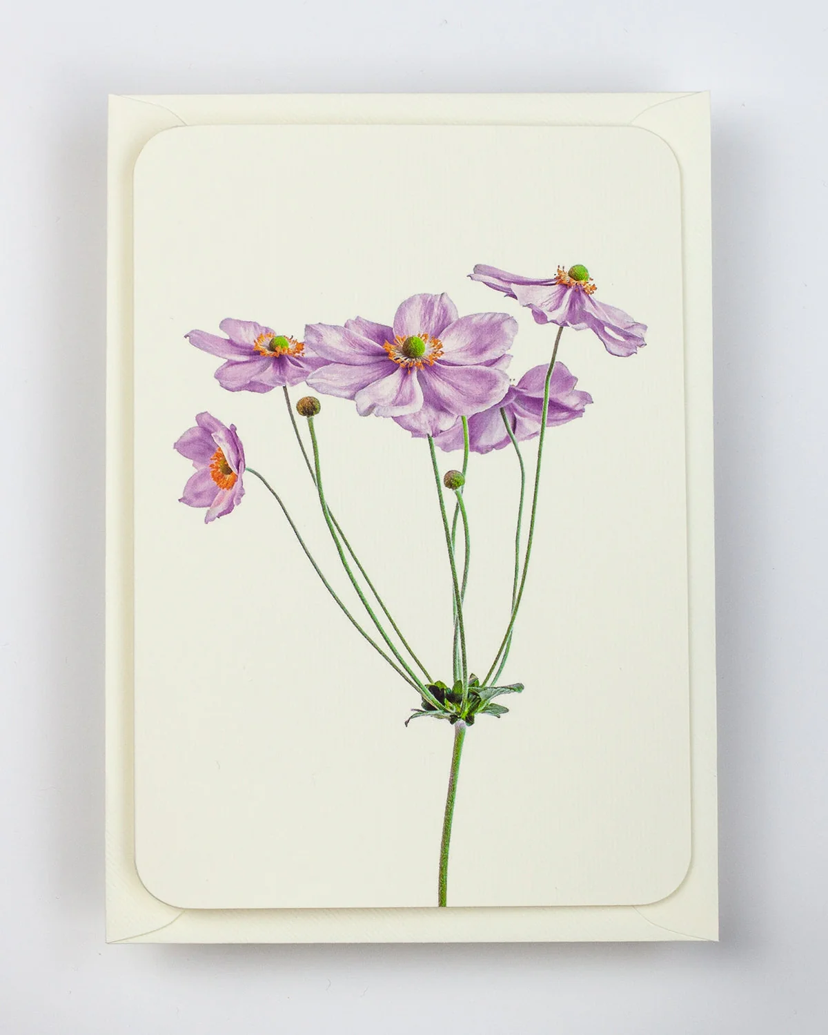 Card - Anemone Flower - Image 2