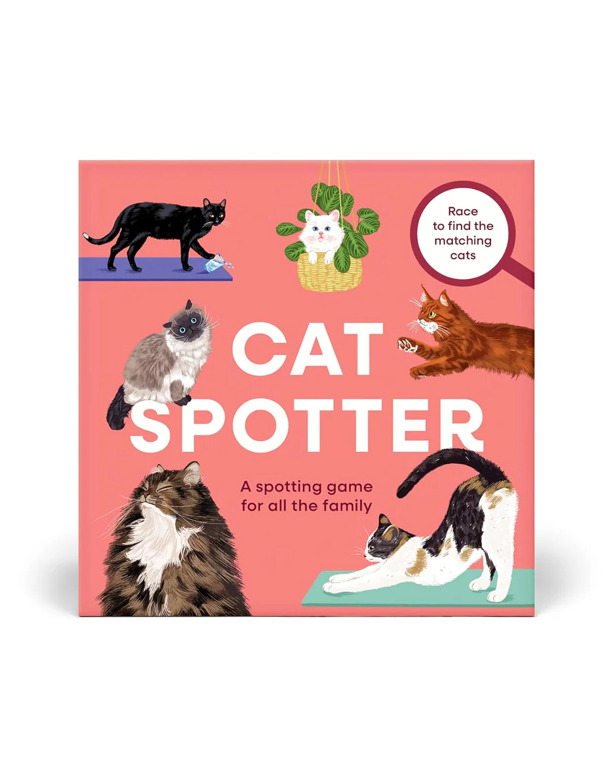 Cat Spotter Game