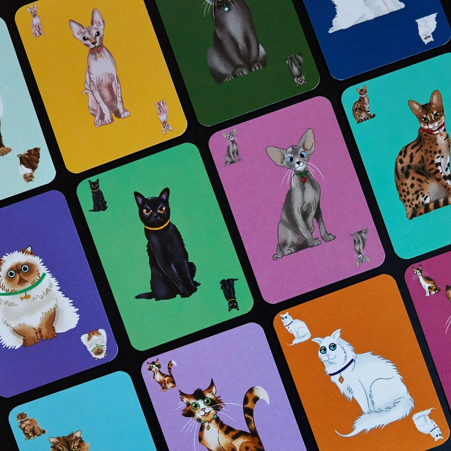 Herding Cats - Image 2