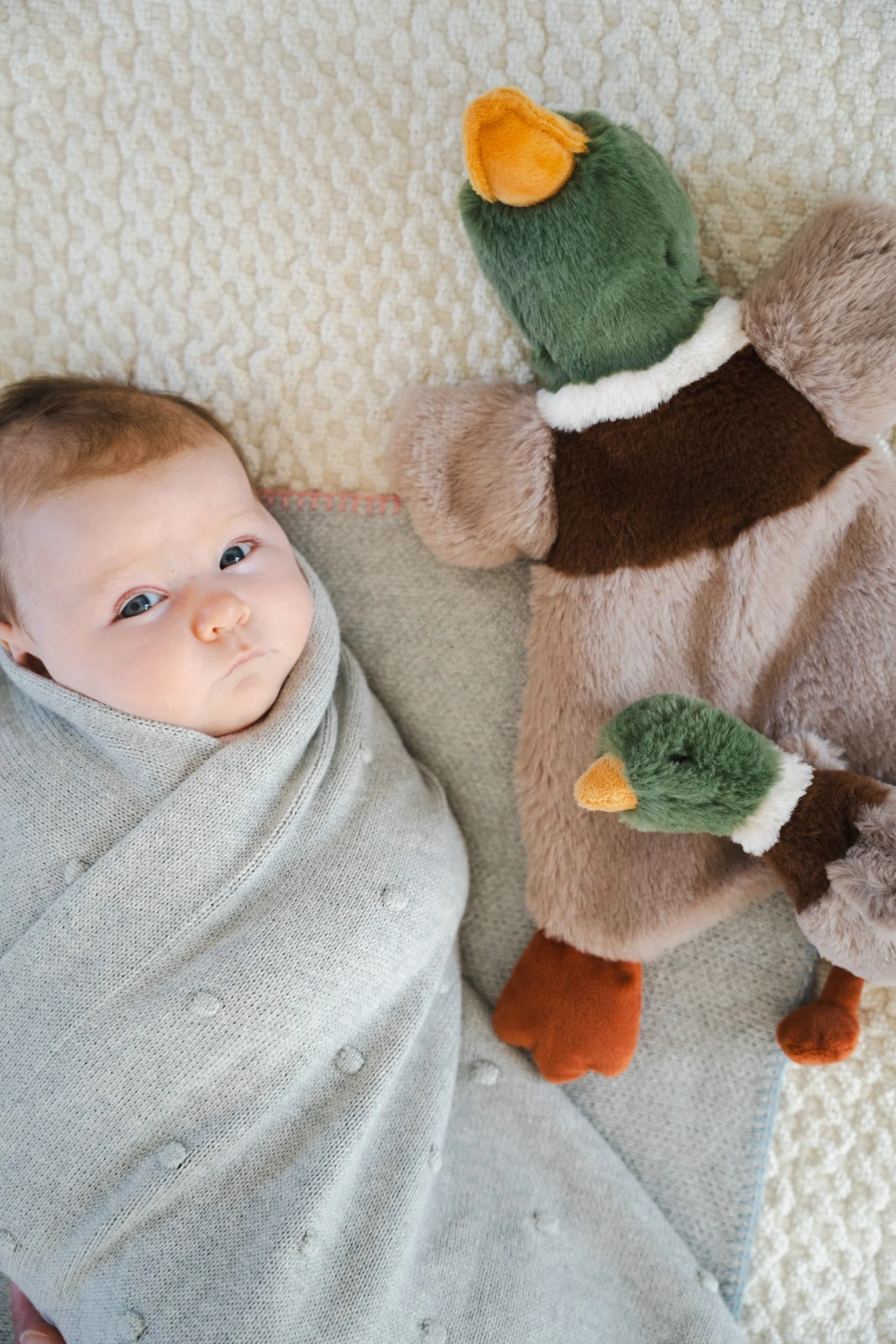 Hugo the Mallard Duck Cuddly - Image 3