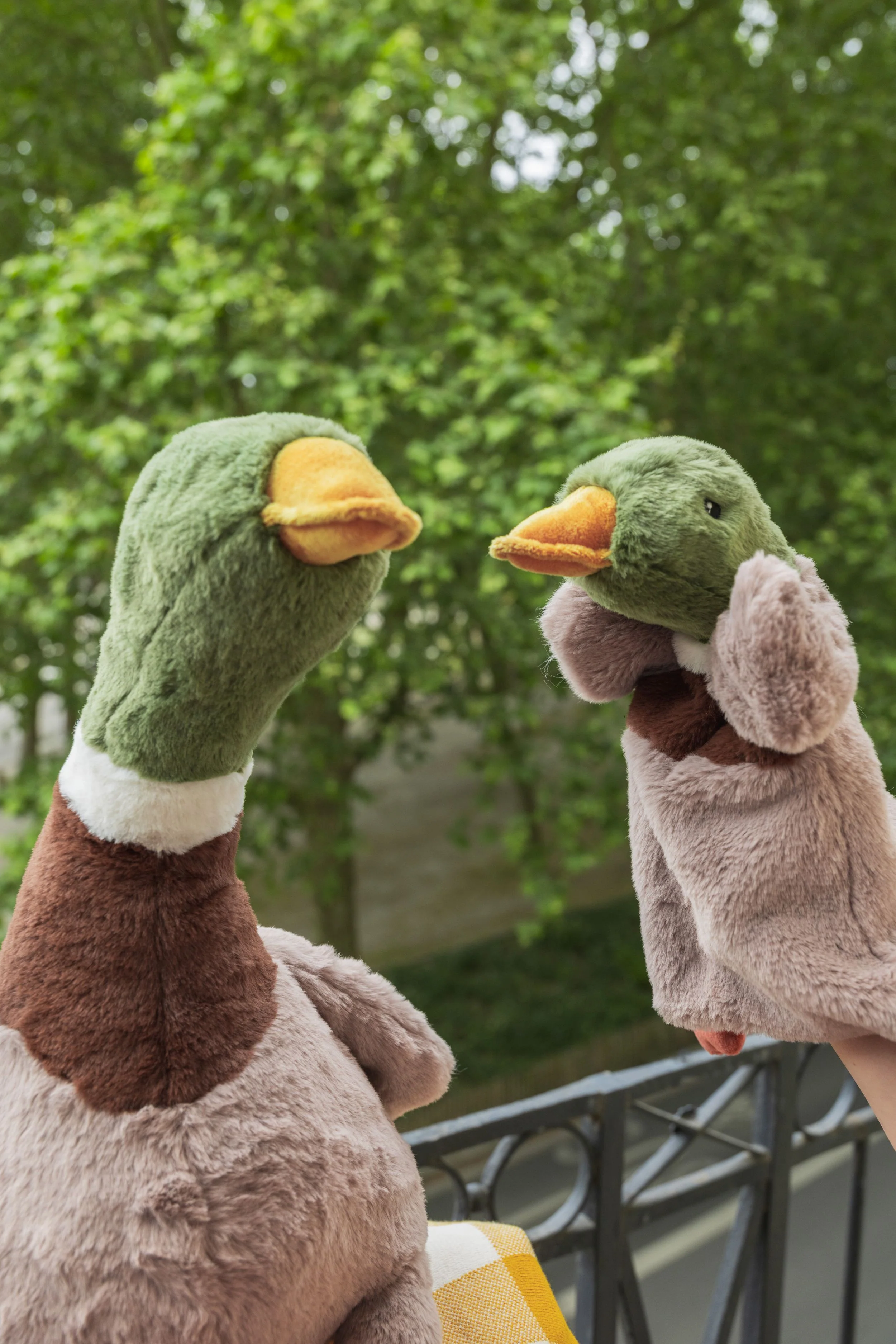 Hugo the Mallard Duck Cuddly - Image 4