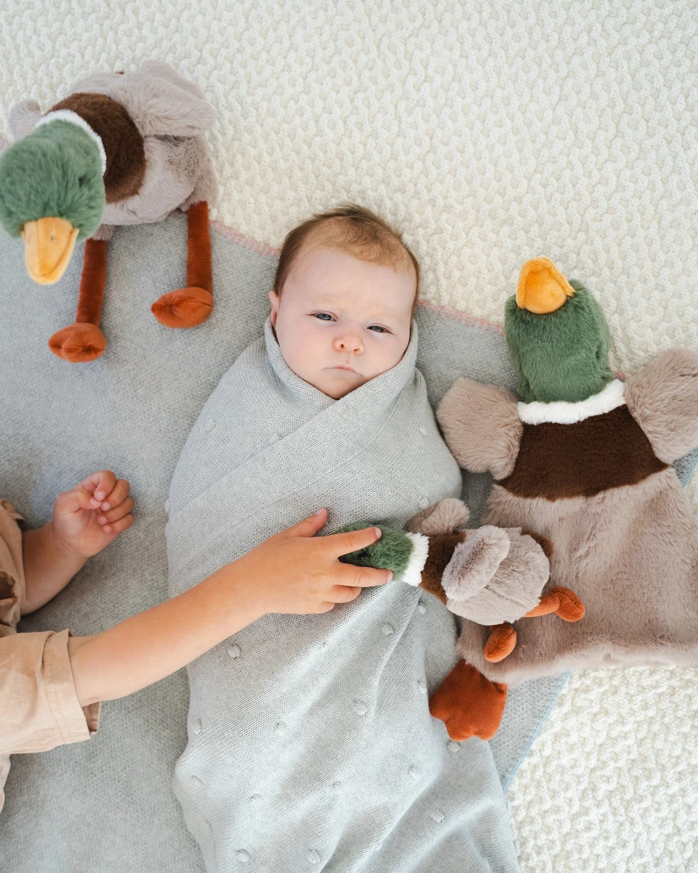 Hugo the Mallard Duck Rattle - Image 3