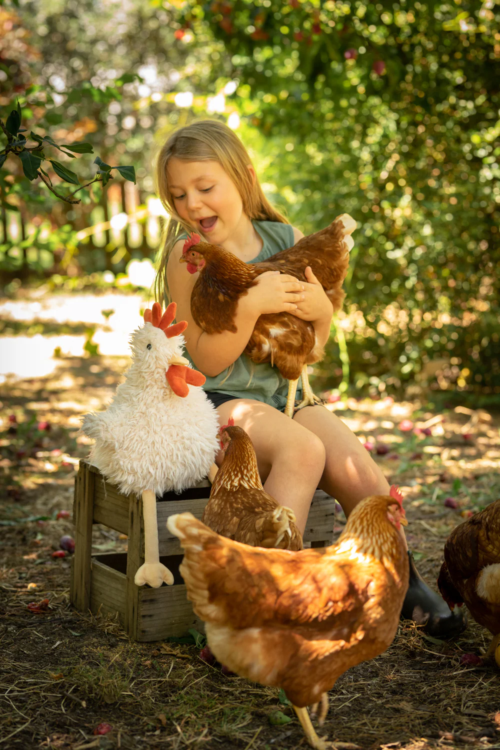 Roy the Rooster - Image 3
